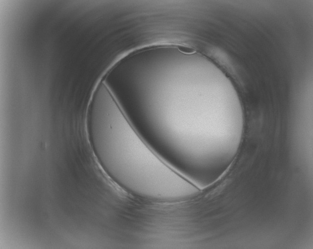 X0000070391284200606090851