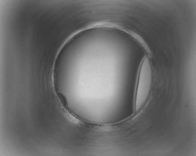 X0000070391288200606090851