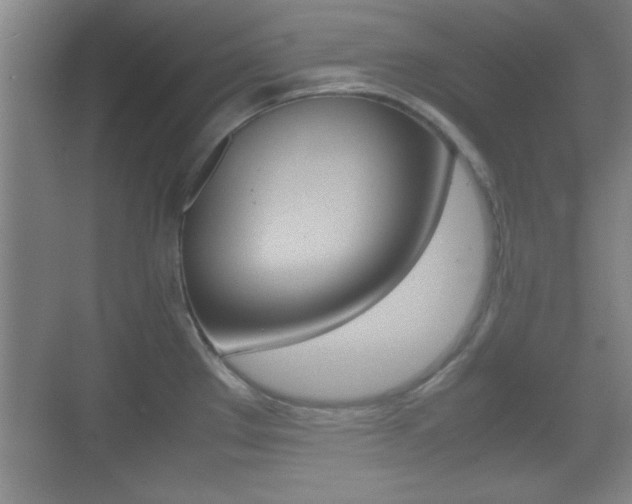 X0000070391289200606090851