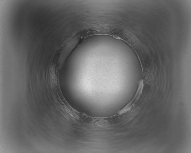 X0000070391298200606090850