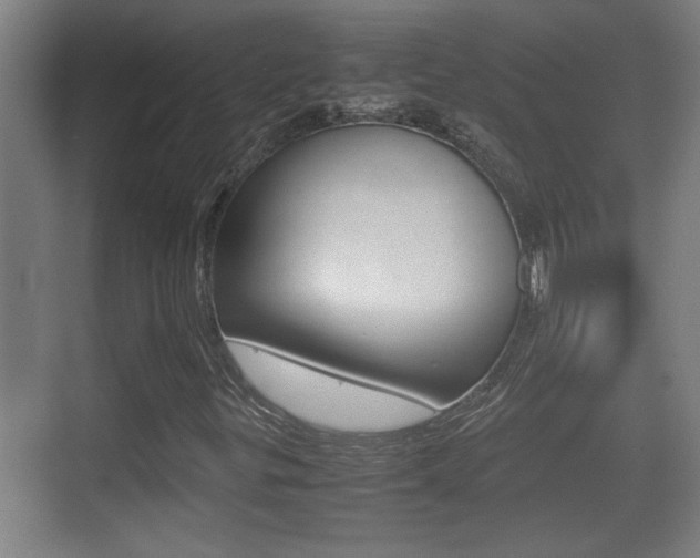X0000070391299200606090850