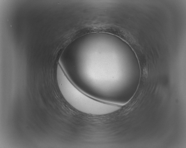 X0000070391300200606090850