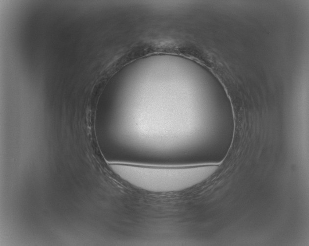 X0000070391301200606090850