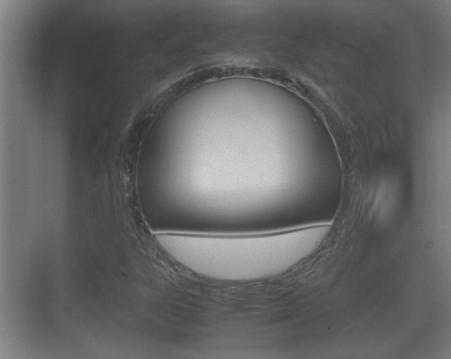 X0000070391303200606090850