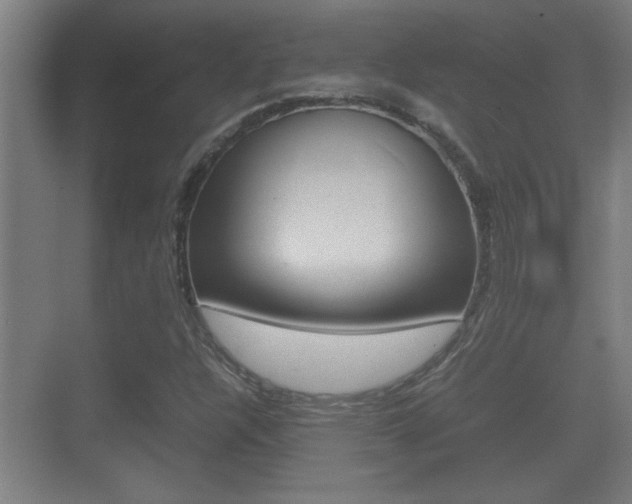 X0000070391304200606090850