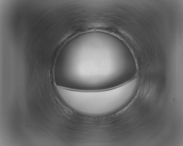 X0000070391305200606090850