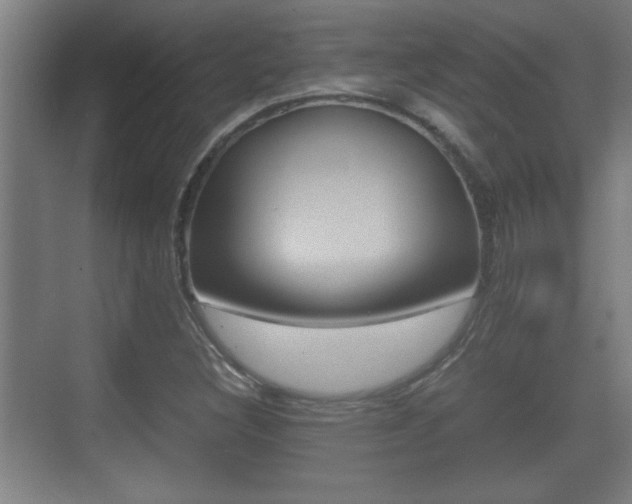 X0000070391308200606090850