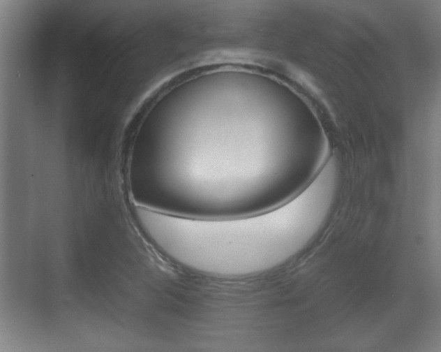 X0000070391312200606090850