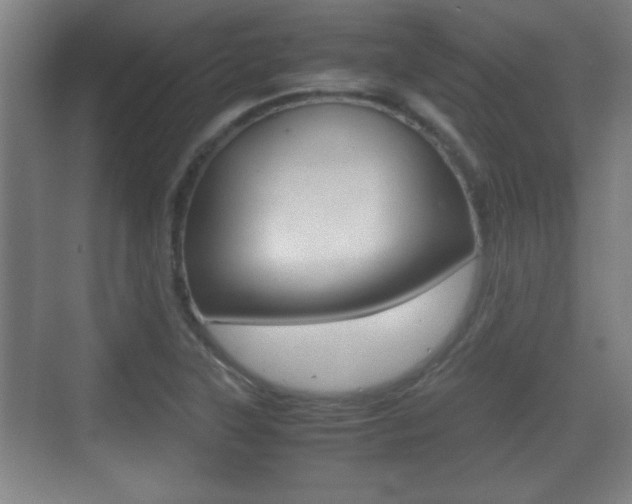 X0000070391315200606090850