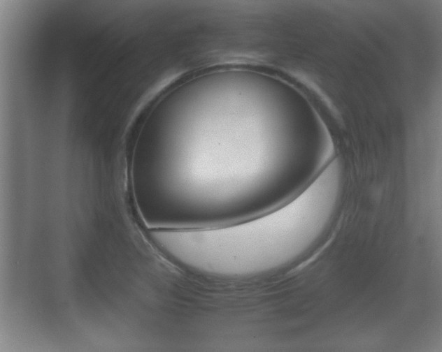 X0000070391317200606090850
