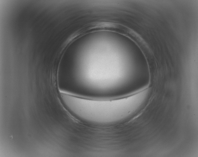 X0000070391321200606090850