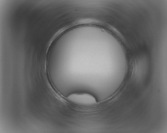 X0000070391322200606090850