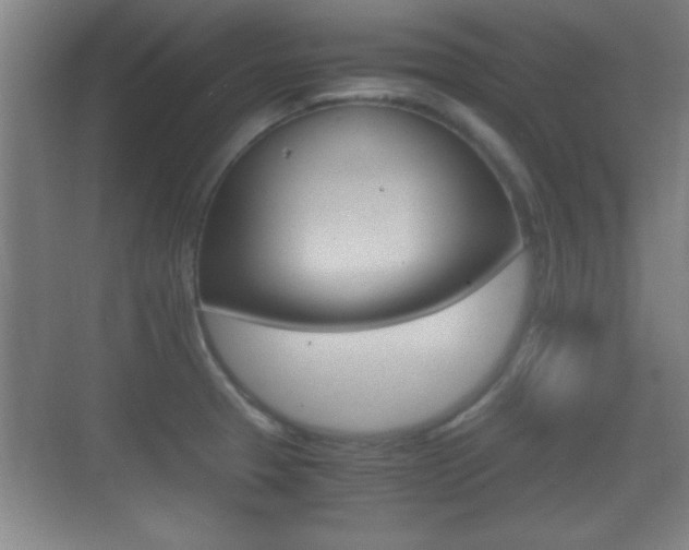 X0000070391329200606090851