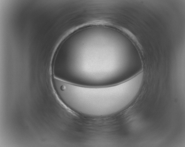 X0000070391335200606090851