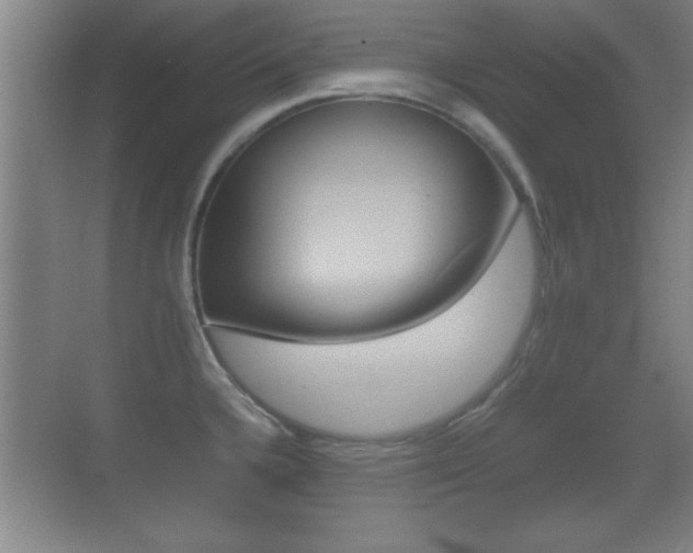 X0000070391336200606090851