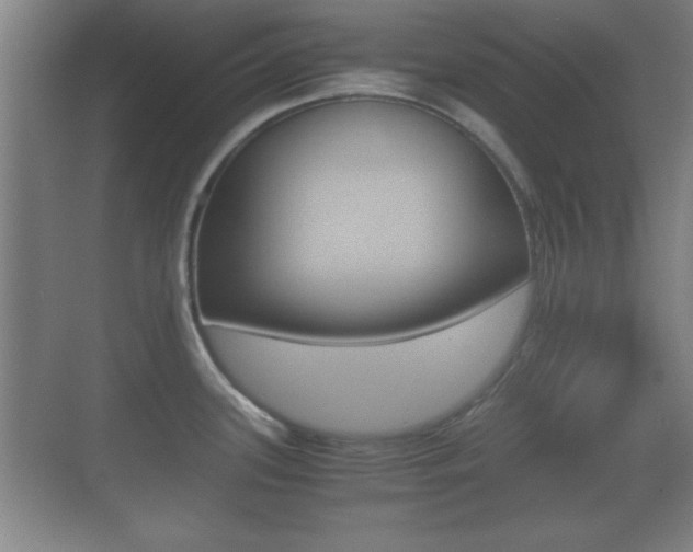 X0000070391339200606090851