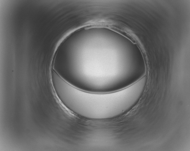 X0000070391344200606090851