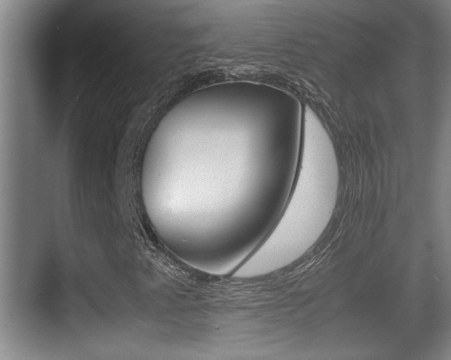 X0000070391345200606090850