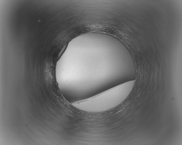 X0000070391346200606090850