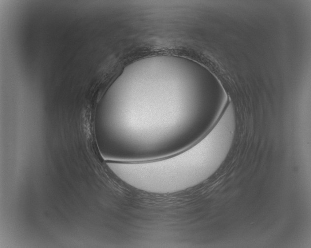 X0000070391348200606090850