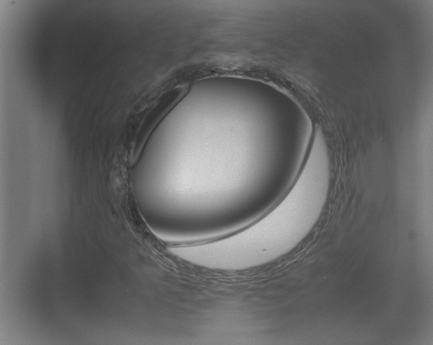 X0000070391349200606090850