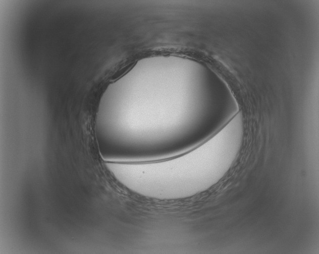 X0000070391351200606090850