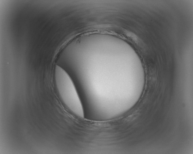 X0000070391354200606090850