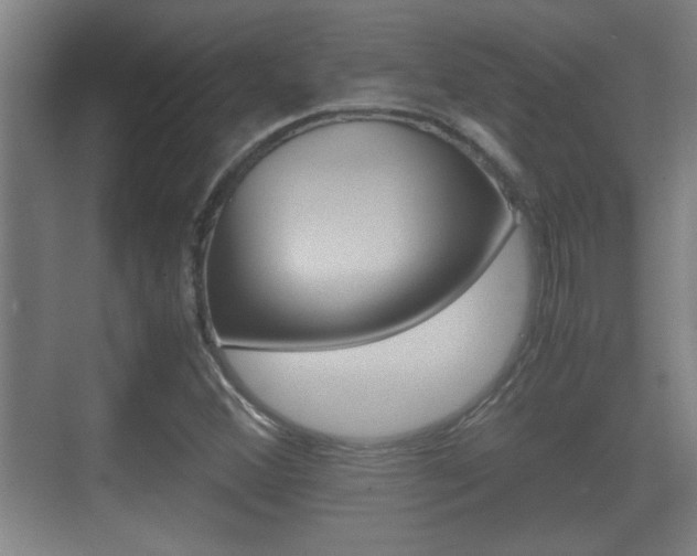 X0000070391356200606090850