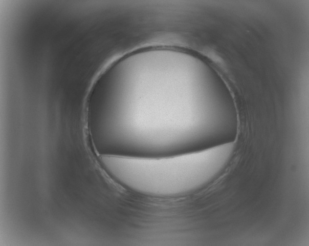 X0000070391366200606090850