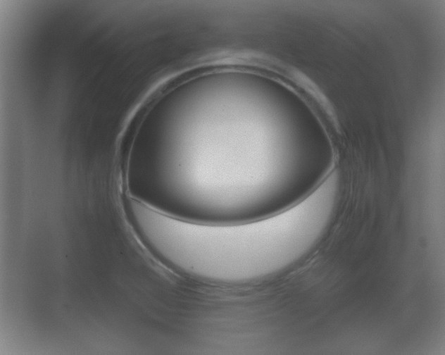 X0000070391368200606090850