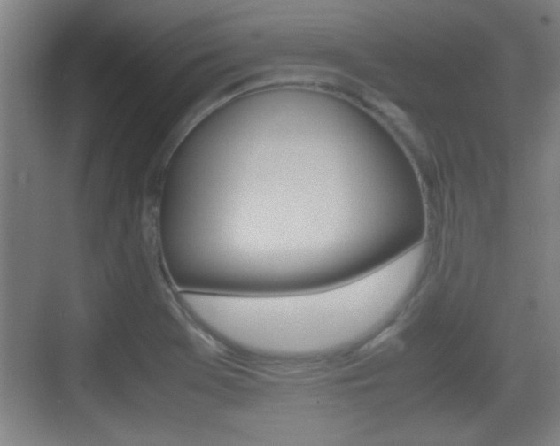 X0000070391369200606090850