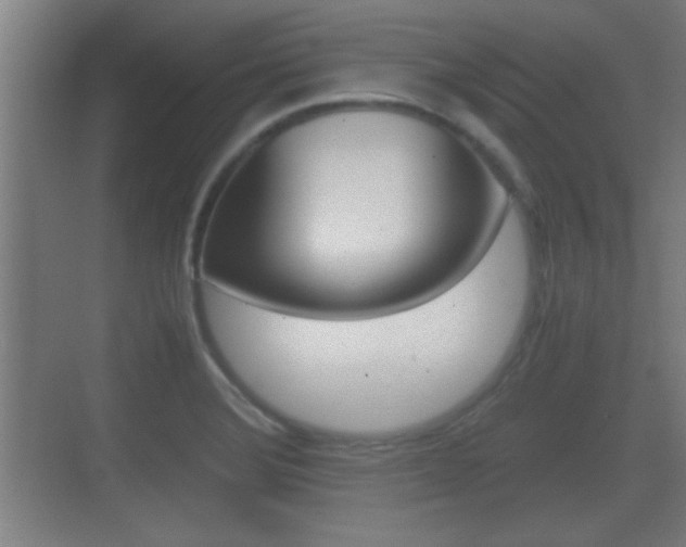 X0000070391372200606090850