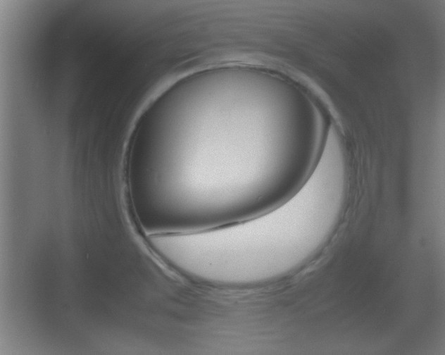 X0000070391373200606090849