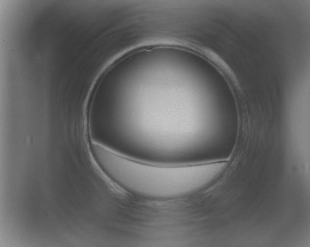 X0000070391380200606090849