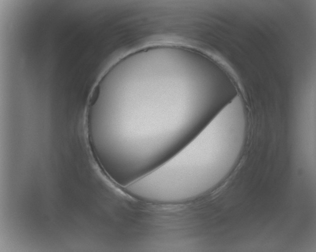 X0000070391382200606090849