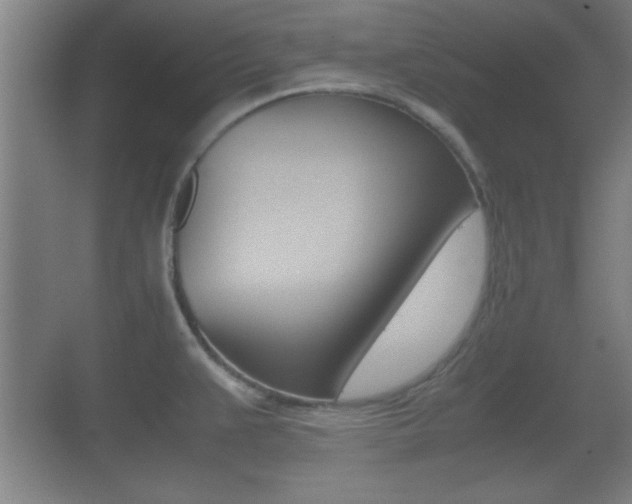 X0000070391383200606090849