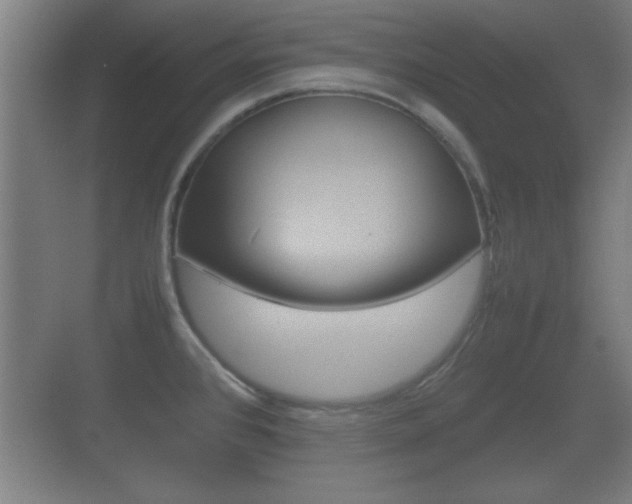 X0000070391384200606090849