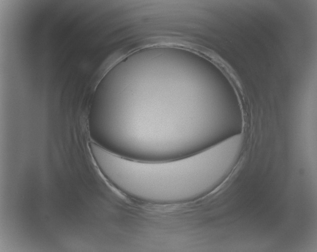 X0000070391385200606090849