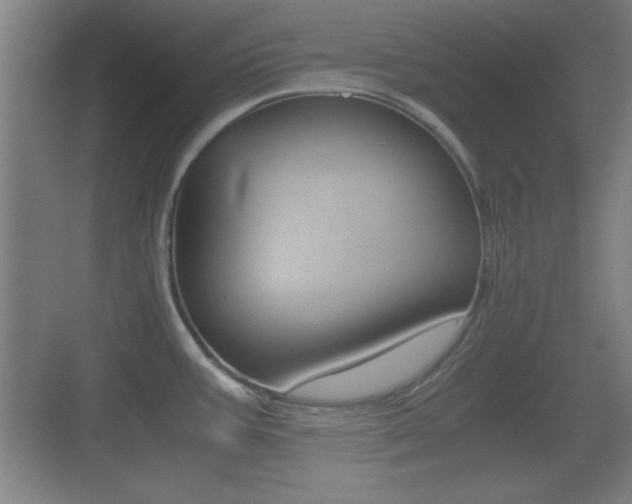 X0000070391387200606090849