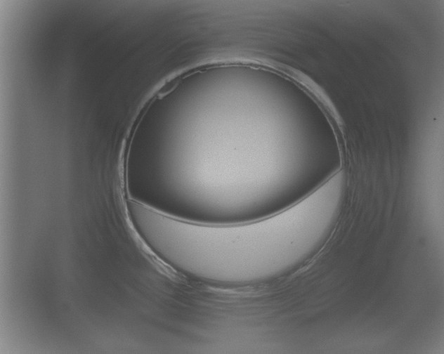 X0000070391388200606090849
