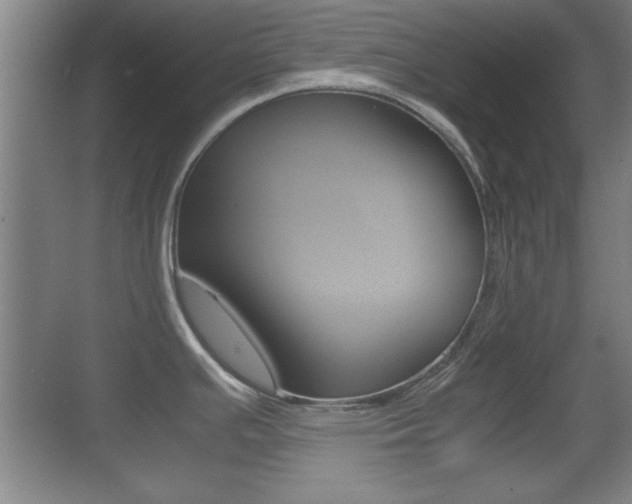 X0000070391391200606090849