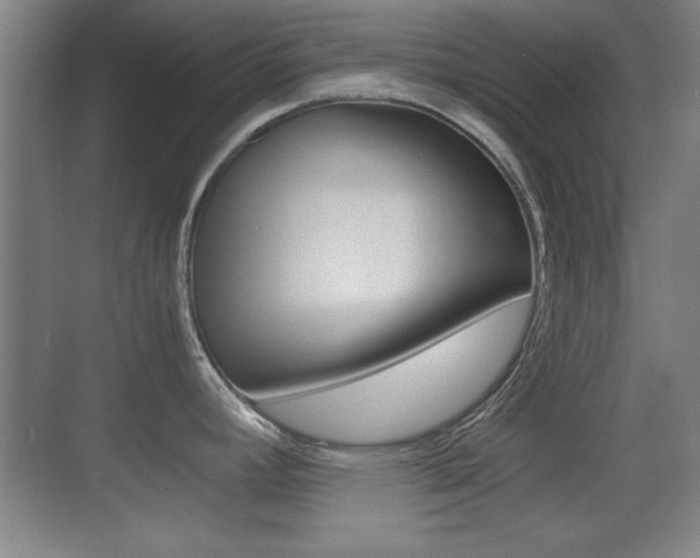 X0000070391392200606090849