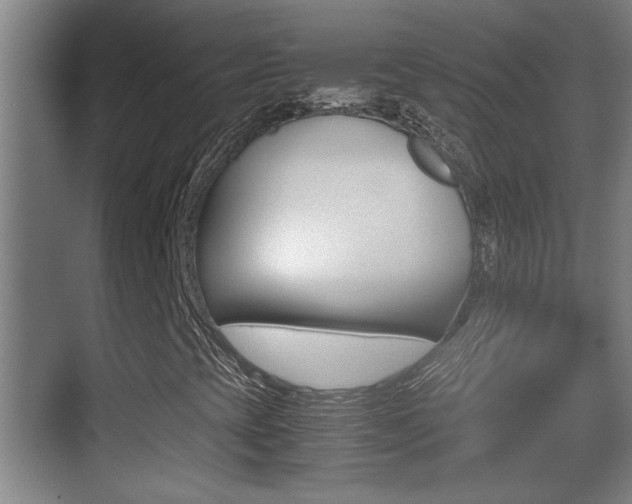 X0000070391393200606090848