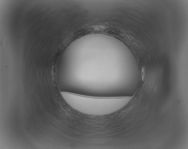 X0000070391395200606090848