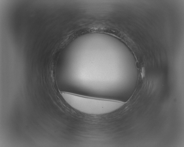 X0000070391396200606090848