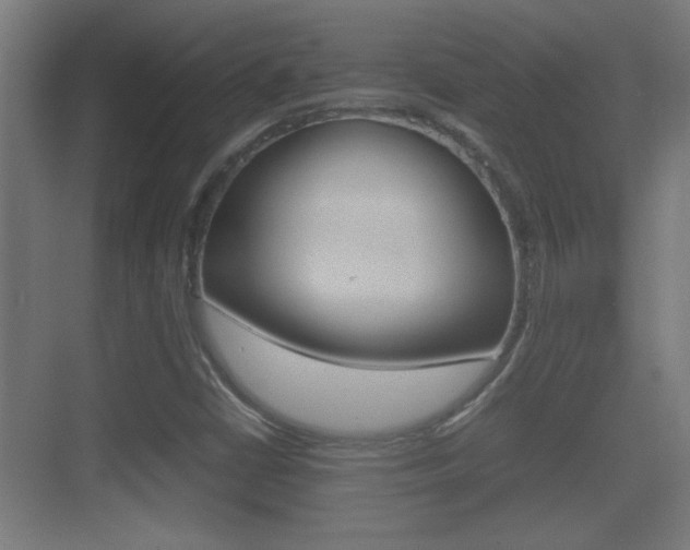 X0000070391402200606090849