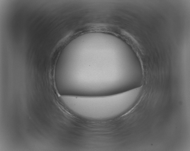 X0000070391403200606090849