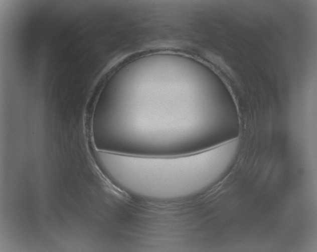 X0000070391404200606090849