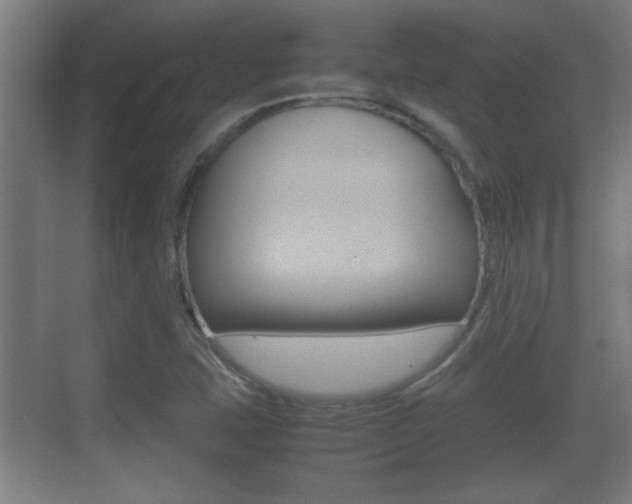 X0000070391407200606090849