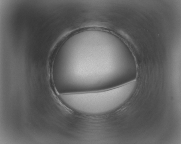 X0000070391408200606090849